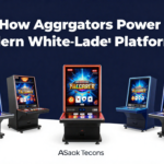 How Aggregators Power Modern White Label Casino Platforms